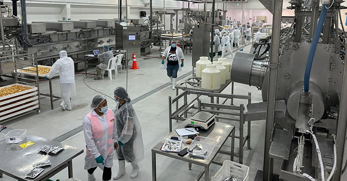 Inside BranchOut Food's production facility