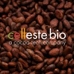 Celleste Bio Unveils Cell-Cultured Cocoa Butter