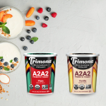 Can Bulgarian Yogurt Break Through? Trimona Pushes As Fermented Foods Win