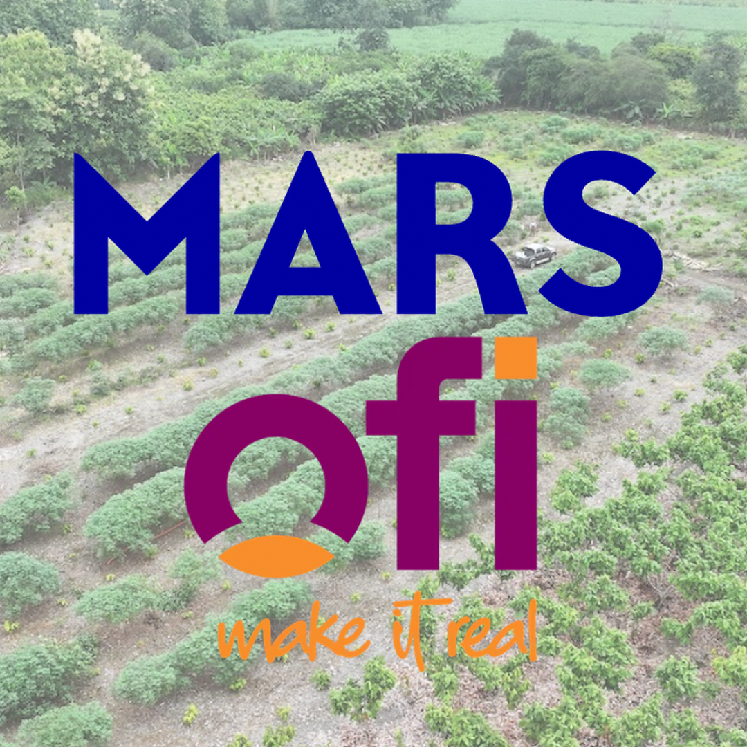 This Week in Chocolate: Mars, ofi Drive Net-Zero Cocoa Goals; Celleste Bio Unveils Cultivated Bars