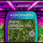 AeroFarms Acquired By Palm Ventures Affiliate